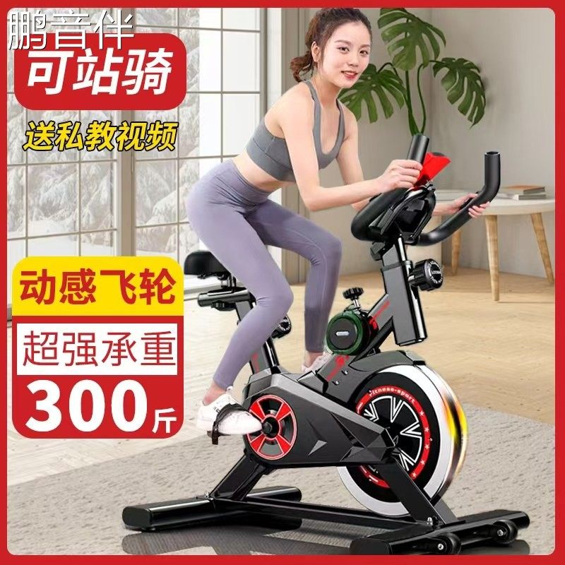 鹏音动感单车家用款小型超静音运动健身自行车室内减肥器材健身房专用