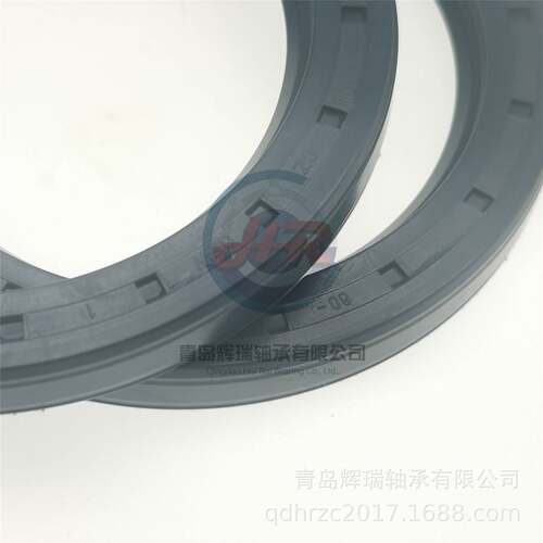 CFW 密封件 BAU4X2 60X80X8 机械密封