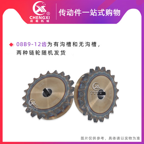 SCS高品质成型孔链轮4分19齿 08B19T外径81.7 精车内孔键槽顶丝