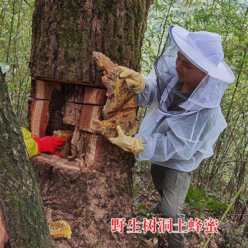 神农架野生土蜂蜜岩树洞百花蜜深山天然孕妇结晶蜂蜜无添加纯蜂蜜