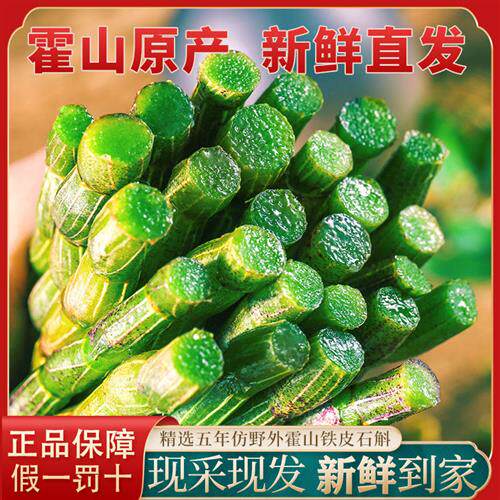 霍山铁皮石斛鲜条中药材新鲜石斛官方1斤500g正品安徽冠农旗舰店