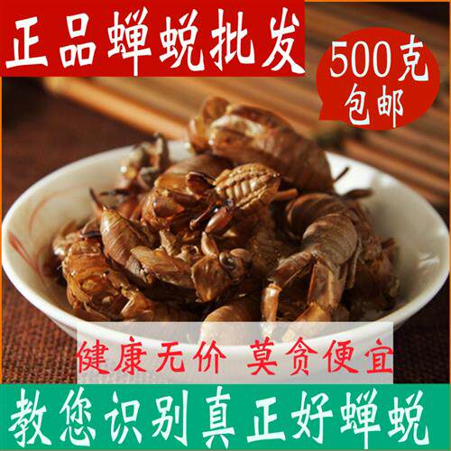 蝉蜕500g包邮金蝉衣中药材正品知了皮粉蝉壳粉爬了猴壳中草药店铺
