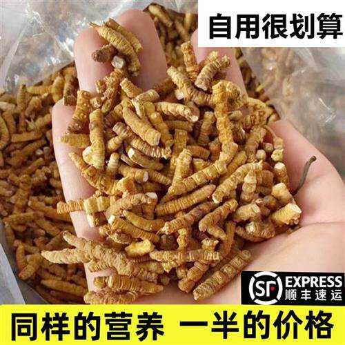 断虫冬虫夏草官方旗舰店非西藏那曲野生虫草正品干货