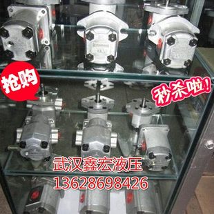 齿轮油泵 精品台湾EG