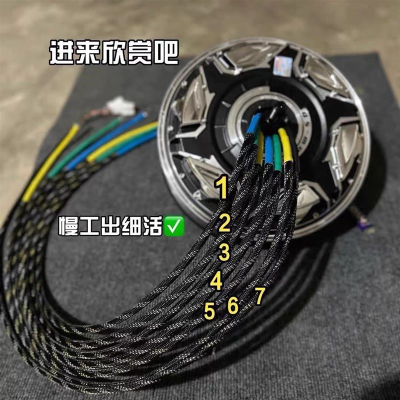 12寸五代瓦片g3000WP60009000WP赛道竞技版高速大力轮毂电机