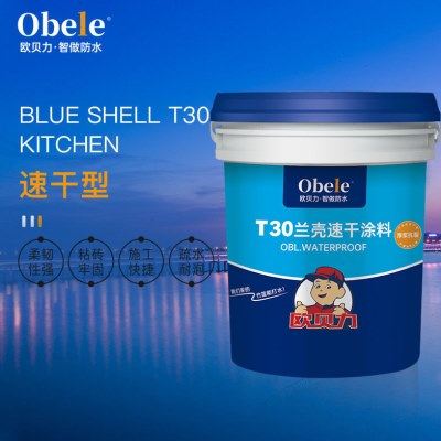 欧贝力T30速干厚涂型厨卫墙面地面专用双组分JS水泥基防水涂料,基础建材,防水涂料,淘宝优惠券,粉丝福利购,淘宝优惠卷