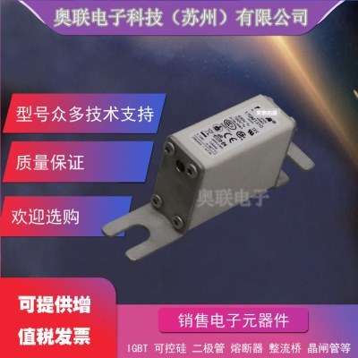 170M1413 170M1414 170M1415 170M1416 170M1417巴斯曼电容保险丝