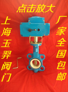 电动四氟对夹蝶阀DN50 DN65 DN80DN100DN125DN150DN200DN250DN300