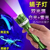 照蝎子强紫光手电筒大功率蝎子灯充电紫外线变焦固化灯验钞琥珀灯
