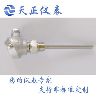 进口型高精度热电阻温度传感器WZP-231 WZPK-230 PT100温度变送器