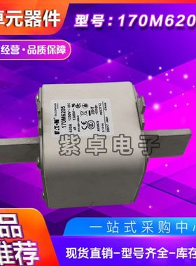 170M6243 170M6244 170M6245 170M6246 170M6247伊顿巴斯曼保险丝