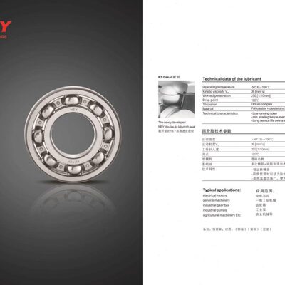 德国NEY进口轴承6300/6301/6302/6303/6304/6305/6306/6307ZZ RS