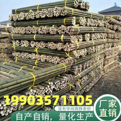 旗杆竹竿菜园搭架小竹杆棍2米植物爬藤架竹梢支架蔬菜黄瓜豆角架