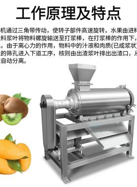 商用芒果打杷打浆设备枇杷果去核去皮机器浆果蔬液体MXE设备枇果
