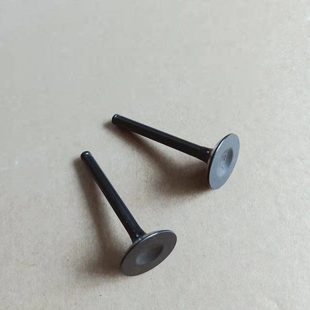 航凯亚岛四冲水冷6.5匹船外机舷外机船马达船挂机配件气门芯