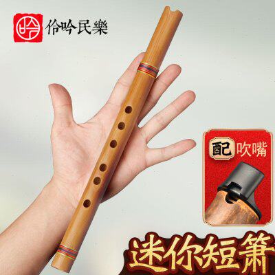 伶吟初学零基础入门迷你小型短箫乐器G六八孔F调萧笛便携古风洞箫