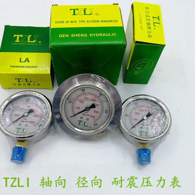 TZLI压力表L-A25MP40MPPT1/4耐震压力表埋入立式甘油压力表YN60