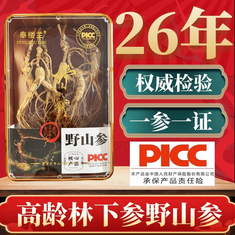 长白山野山参礼盒 林下参26年籽参生晒干参桓仁特产奉楼兰