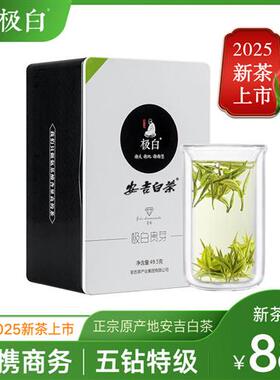 2025新茶绿茶上市 极白安吉白茶特级49.5g原产地春茶明前送礼茶叶
