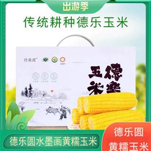 吉林公主岭玉米水墨画德乐圆黄糯玉米真空装绿色无公害大苞米包邮