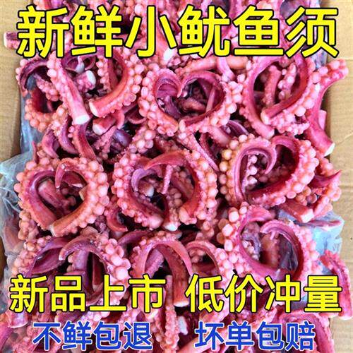 小号鱿鱼须新鲜冷冻章鱼须小八爪须章鱼足铁板烧烤火锅食材无冰衣