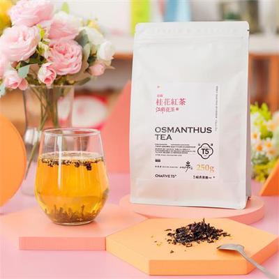 T5桂花红茶冷热双泡茉莉绿茶水果茶包玫瑰茶办公室花果茶三角茶包