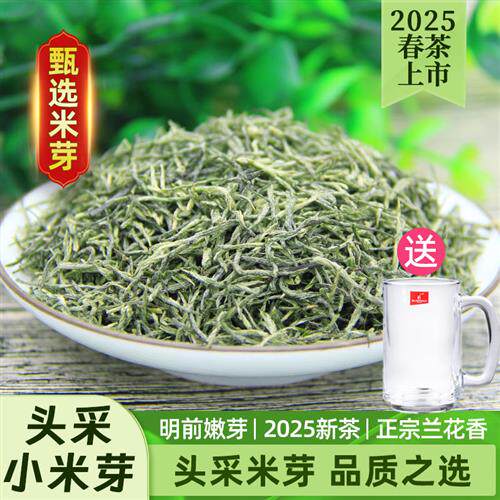 信阳毛尖明前特级嫩芽小产区高山手工绿茶125g*2盒装
