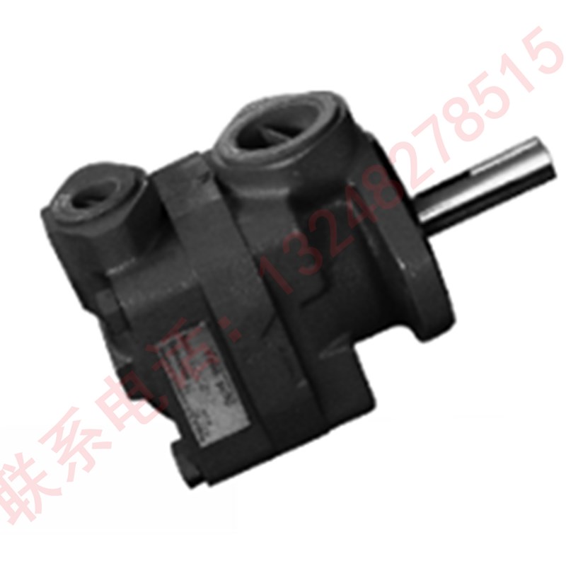 V10V20系列现货V20-1P6P/1P7P/y1P8P/1P9P-1A/1B/1C/1D-1020叶片