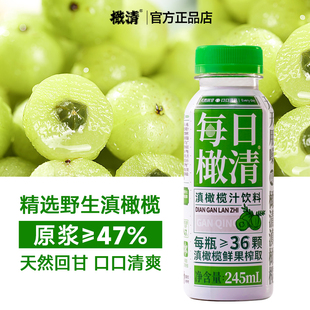 【新日期】橄清每日橄清滇橄榄汁245ml*12瓶油柑汁饮料整箱批特价