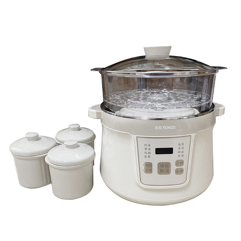 天际隔水炖电炖盅家用全自t动陶瓷预约煲汤燕窝炖汤超大容量4.2L