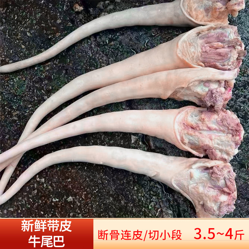 新鲜带皮黄牛尾巴整条断骨连皮切割 不带牛尾骨 煲汤红烧火锅食材