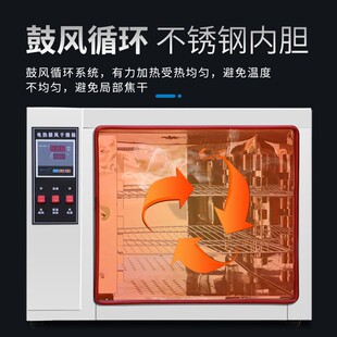 恒温鼓风双开门烘干箱养猪场消毒专用干燥箱前后开门对开门烘箱