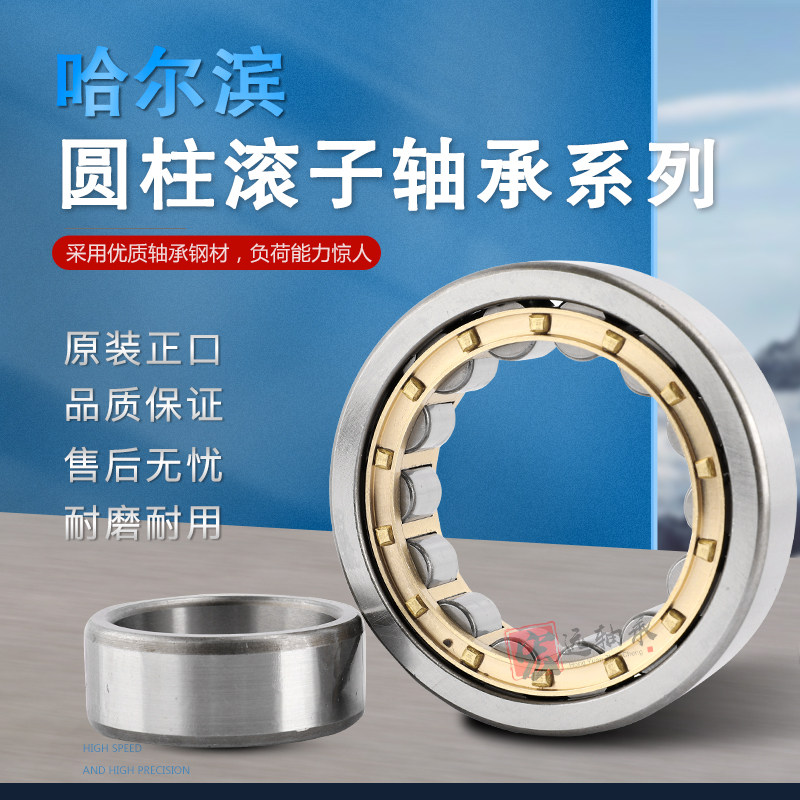 HRB圆柱滚子轴承NU NJ 220 221 222  224 226 228 230 232 234 EM