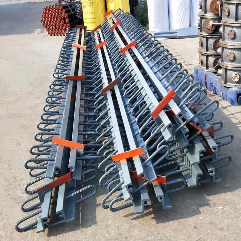 公路桥梁伸缩缝gqf-cp40d80e160型异型钢变形毛勒缝伸缩缝胶条装