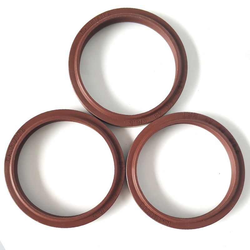 液压防尘圈 氟胶LBH20*28*6/LBH22*30*6/23.5*30.4*6气缸圈耐高温,搬运/仓储/物流设备,其他起重搬运设备,淘宝优惠券,粉丝福利购,淘宝优惠卷