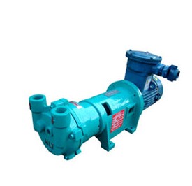 防爆水环式真空泵2BV2071-EX(110m3/h)4KW -0.098MPA 抽水气