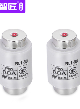 陶瓷熔断器RL1-60螺旋式熔芯20A25A30A40A50A60A保险丝管380V