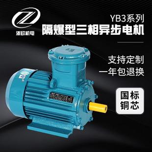 隔爆型三相异步电机 YB3全系列国标铜芯高效防爆电机 4极卧式