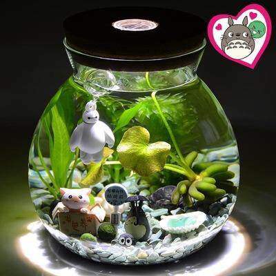 苔藓植物微景观生态瓶 盆景桌面创意DIY绿植摆件 斗鱼瓶 圆形带灯