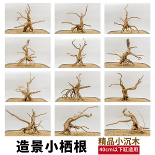 鱼缸造景小号栖根树根可绑水草水榕沉木草缸精品莫斯树杜鹃根枝条