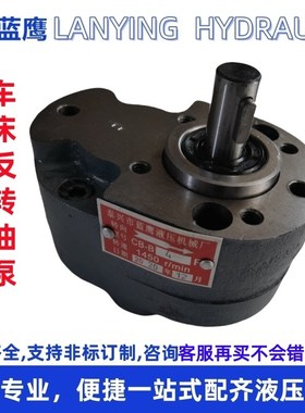 大连CW6163/6180/6280沈阳安阳兰州CB-B6F车床B10F齿轮油泵B6FTEN