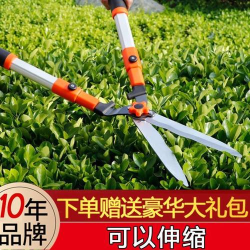 园艺大剪刀园林花剪修花修枝剪花木剪草修草坪绿篱剪强力修剪树枝