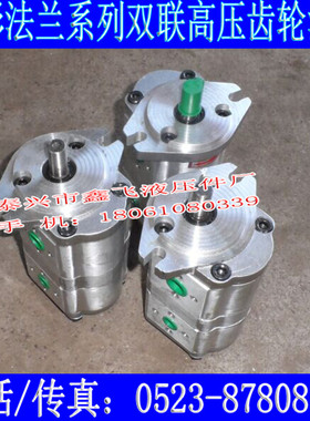 CBWL-E304/E306/E308/E310/E312/E314/E316/E318/E320/E325齿轮泵