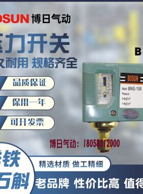 压力开关空气压力控制器BNS系列NS -103-106-110-120-130博日气动
