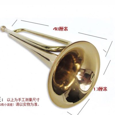 海浪乐器小号乐器降B调少先队鼓号队队号黄号学生青年号乐器