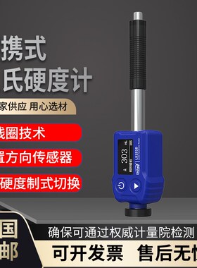 高精度里氏硬度计金属钢材铸铁模具洛氏维氏硬度测量仪林上LS252D