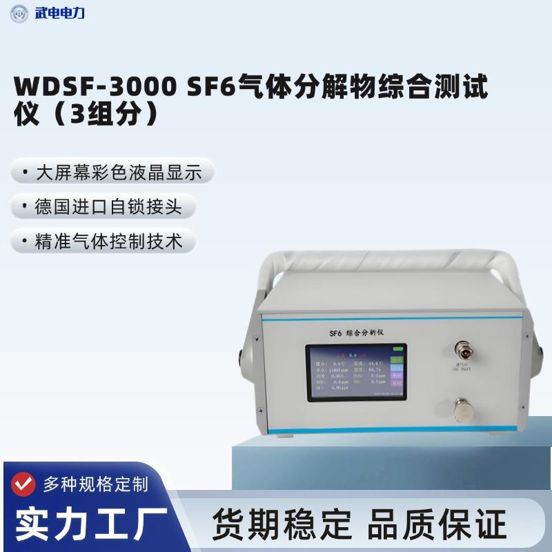 WDSF-3000SF6气体分解物综合测试仪（3组分）安全可靠