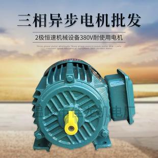 三相电机三相异步电动机4W二极恒速机械设备380V耐用电机