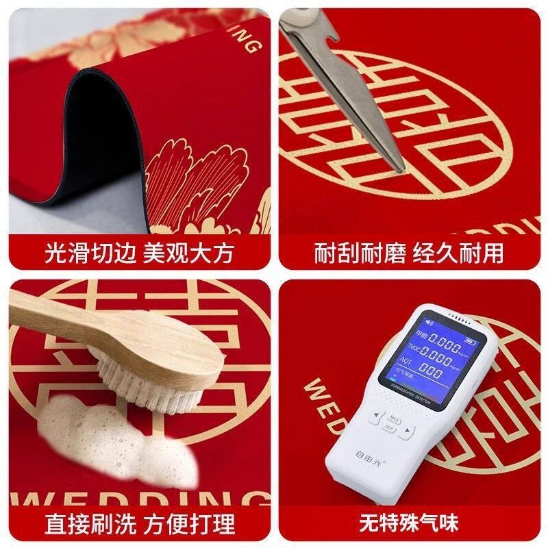 X5L入户地垫硅藻泥新款耐脏脚垫吸水速干门口地垫加厚玄关垫子可