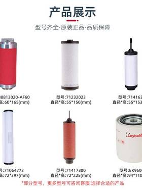 德国Leybold莱宝真空泵滤芯配件油雾过滤器SV630B真空泵排气滤芯